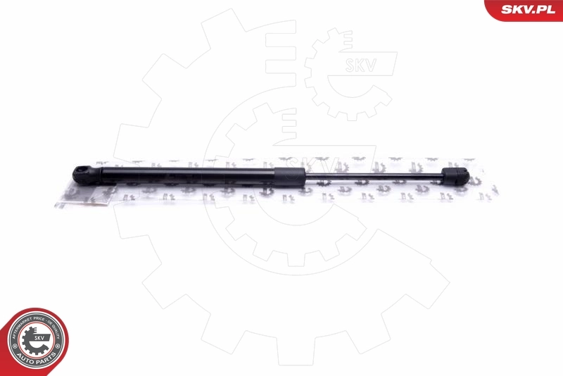 Gas Spring, boot/cargo area